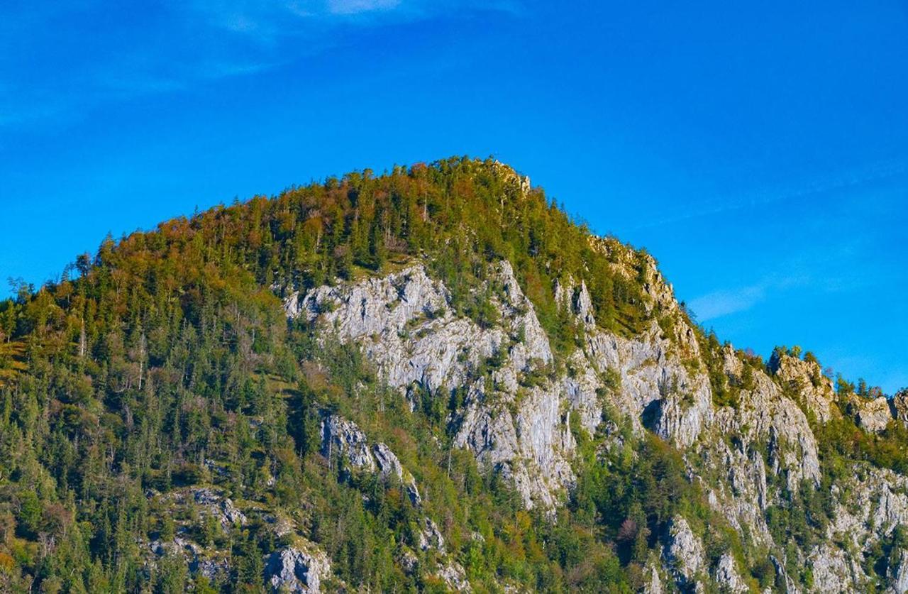 Appartamento Kogelblick