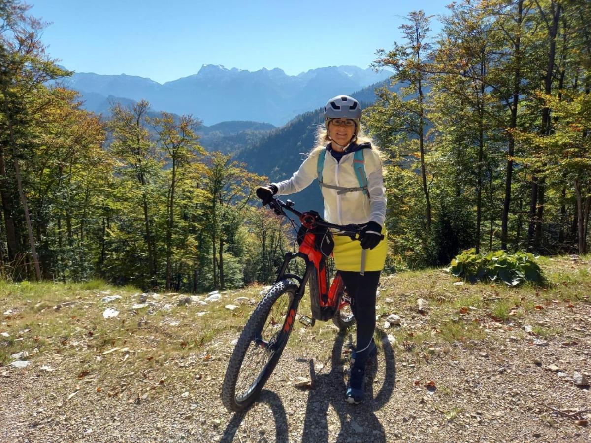 Appartamento Kogelblick Ebensee
