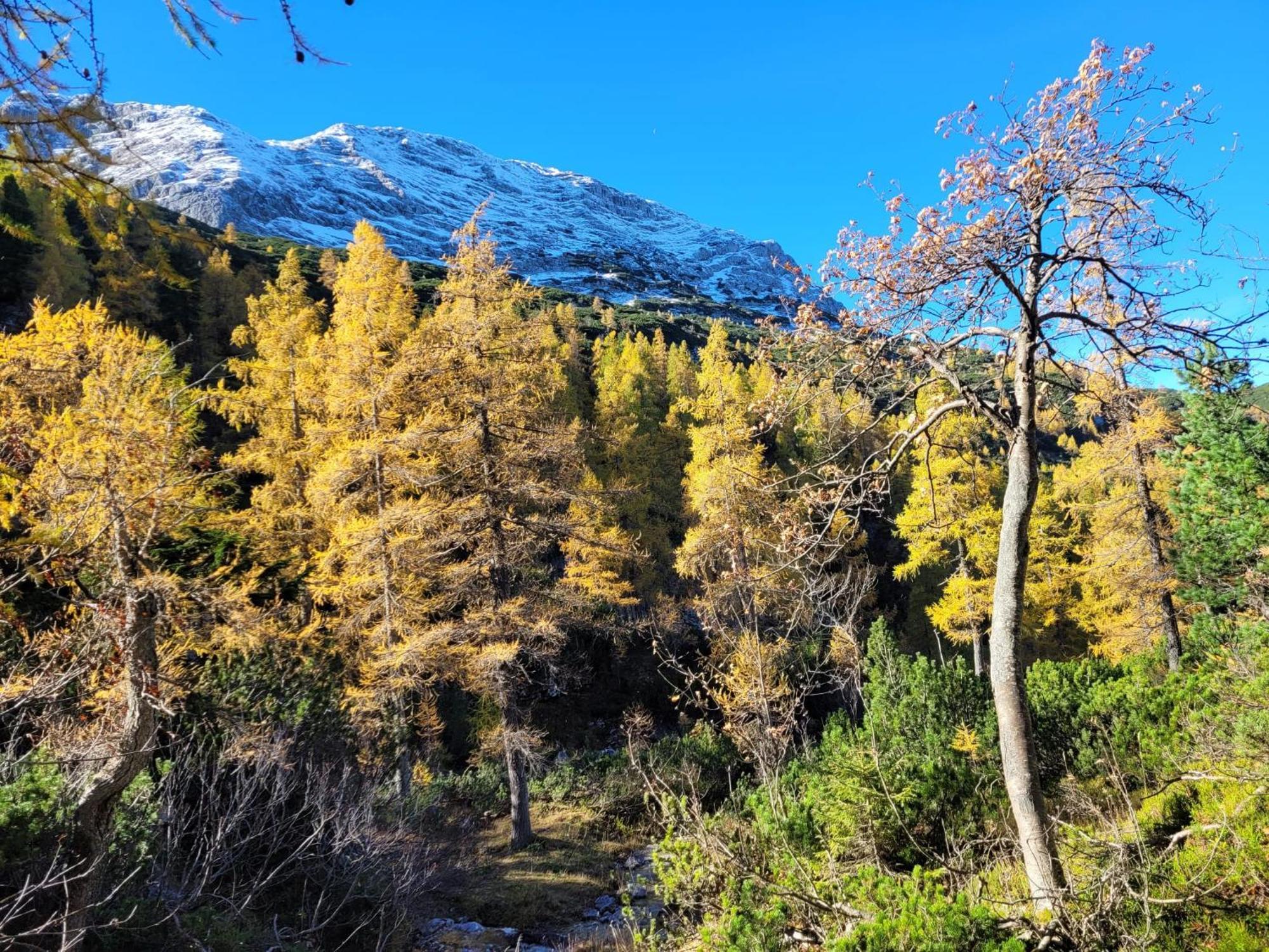Kogelblick Appartamento Ebensee